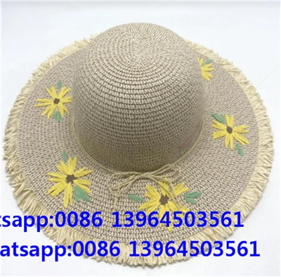 Paj Huam Ntxhais Sab nraum zoov Puam Hat