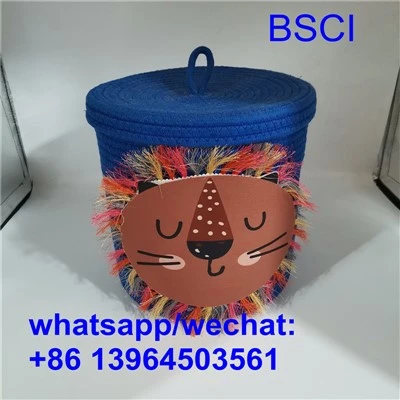 Kho kom zoo nkauj Bins thiab Baskets