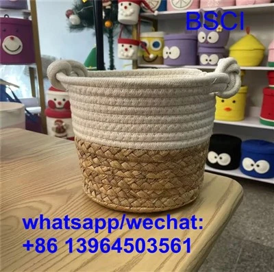 TSEV cia cov pob tawb thiab cov khoom noj