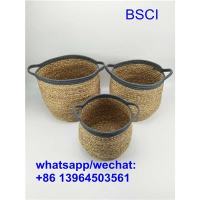 Cov Khaub Ncaws Quav Cia