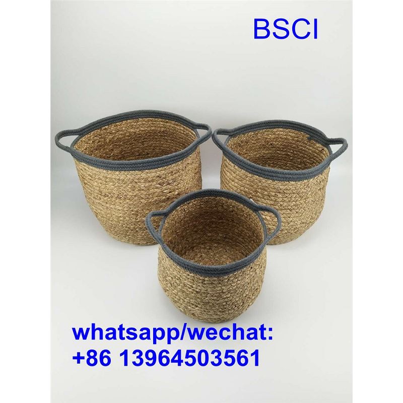 Cov Khaub Ncaws Quav Cia